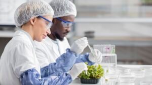 Investimentos para Geneticistas: Economize em impostos e invista 